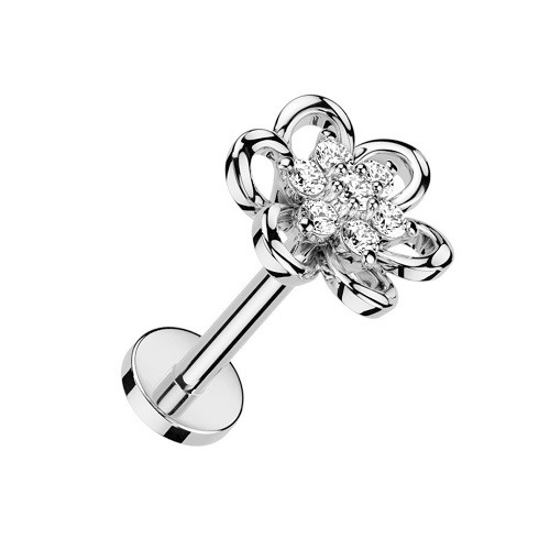 Helix ohr tragus labret - helix, conch