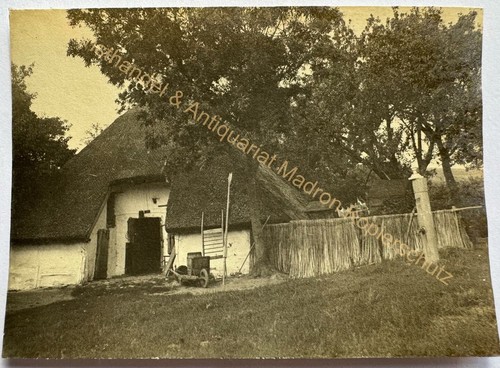 Orig foto ostseebad - ostseebad, horst