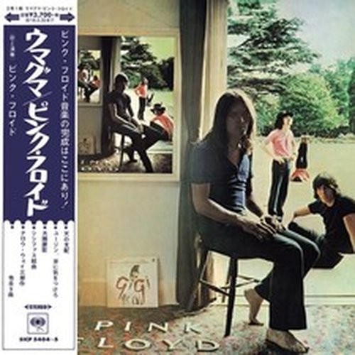Pink floyd ummagumma - pink,