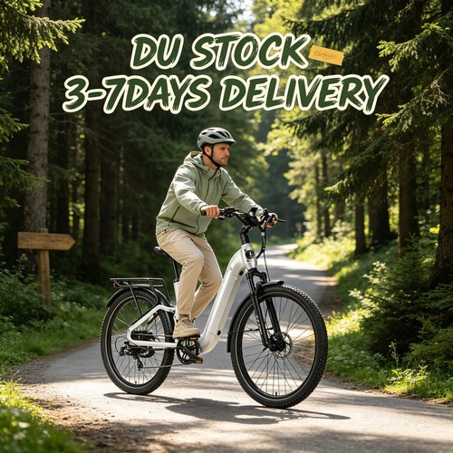 Elektrofahrrad 250w 48v - 250w,