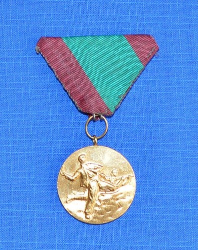 Bulgarische armee - bulgarische,