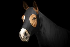 Sleezy mit Schulterschutz