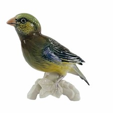 Karl Ens Vogel Papageienfink