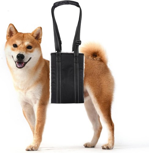 Tragehilfe hund einstellbare - hund,