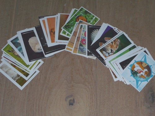 Rewe disney abenteuer tierwelt - abenteuer,