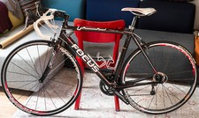 Rennrad focus cayo carbon - carbon, rh