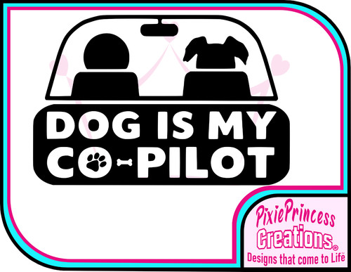 Hund fun pilot niedlicher - hund, j