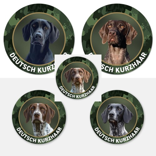 Deutsch kurzhaar jagdhund auto - deutsch,
