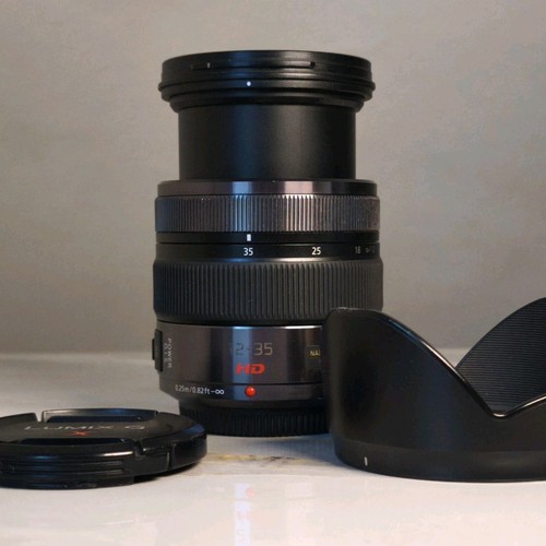 Panasonic lumix vario - g, x
