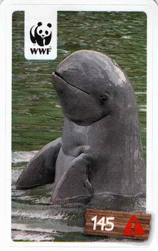 Rewe wwf tier abenteuer - wwf,
