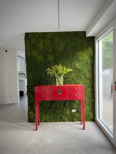 China konsole sideboard - china,