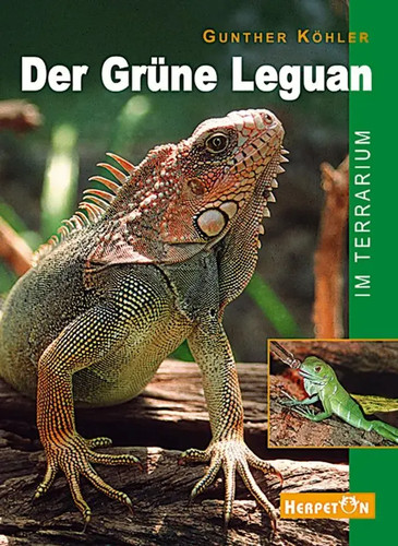 Der grüne leguan terrarium - im,