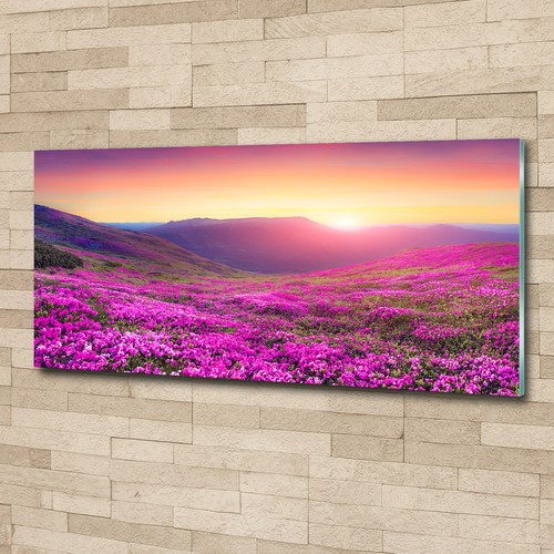 Glas bild wandbilder - glas-bild, druck