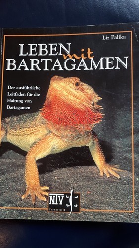 Leben mit bartagamen der - bartagamen.,