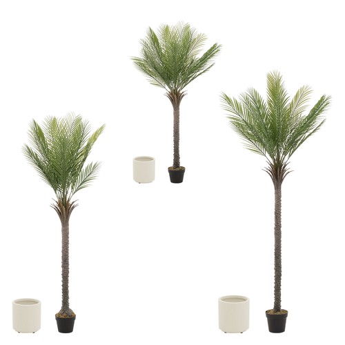 Künstlicher palmenbaum - künstlicher,