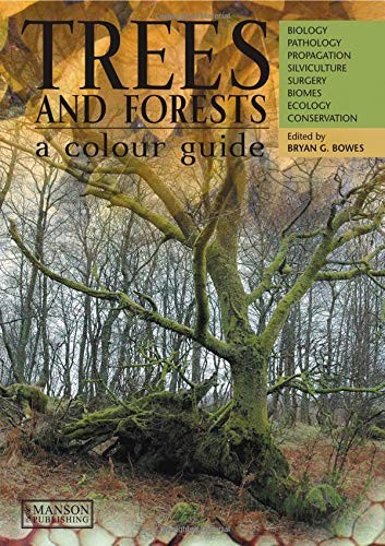 Trees forests a colour - &,