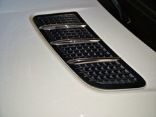 Chromfinnen für slk r172 - chromfinnen,