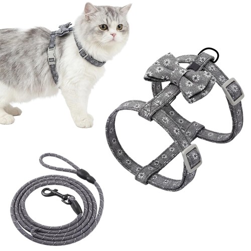 Katzengeschirr mit leine - mit, set
