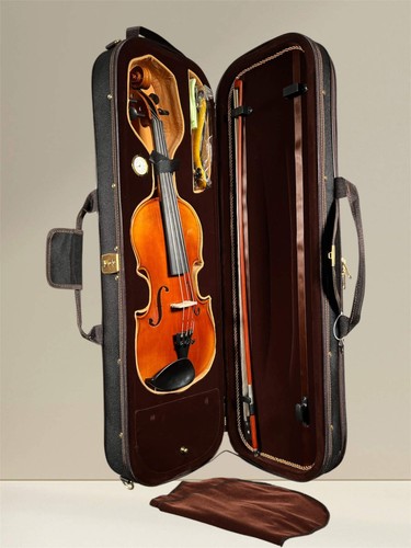 Gewa violine maestro - gewa, –