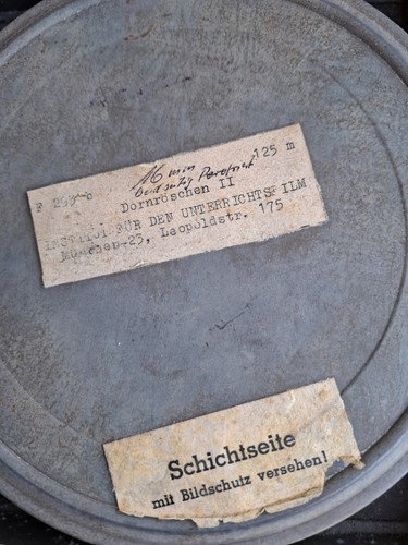 Dornröschen film in - 16, mm