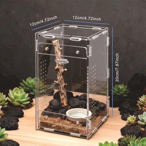 Reptilien-Terrarium