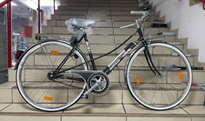 Hercules Pegasus Damen