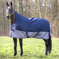 EQUI-THÈME „TYREX 600 D" 0g