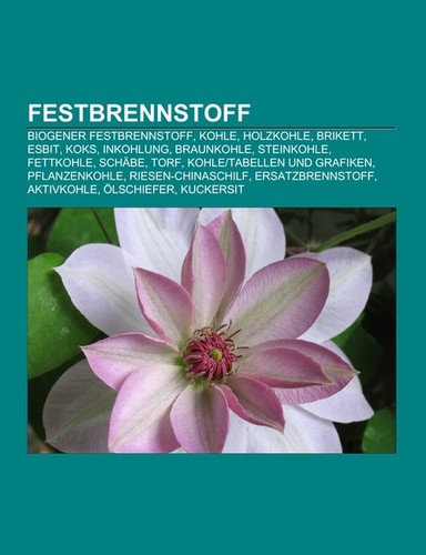 Festbrennstoff - ,
