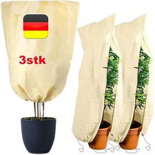 3 Stück Set XXL Pflanzen