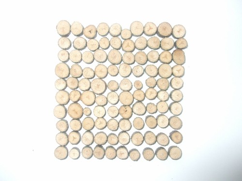 100 baumscheiben erle - -, 1