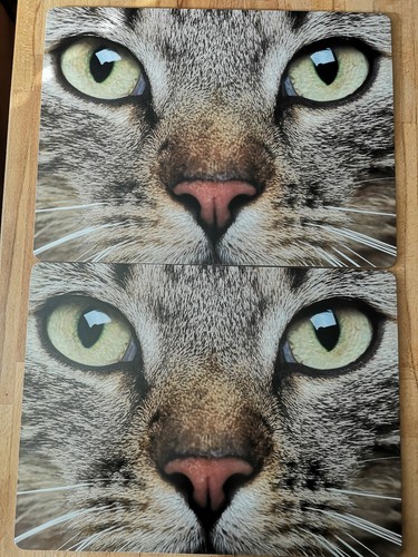 Tischsets katze - 2,