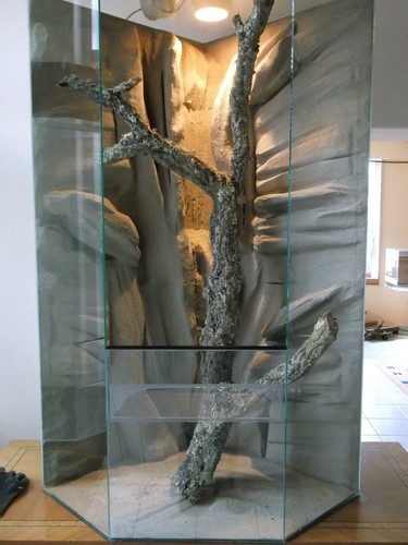 Riesen glas terrarium delta - glas,