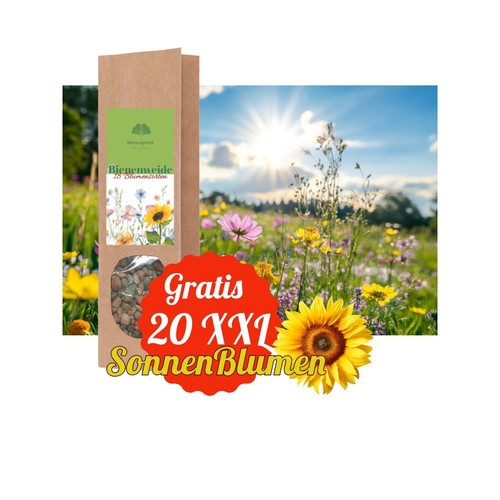 Natur bienenweide blumen - natur,
