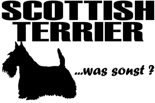 Aufkleber scottish terrier - scottish,