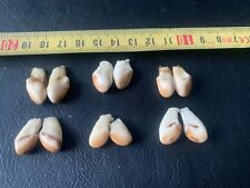 Set5 Hirsch Grandeln DEKO