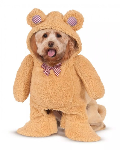 Teddy bär hunde - teddy,