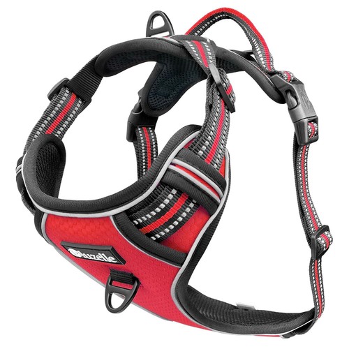 Bluzelle hundegeschirr - bluzelle,
