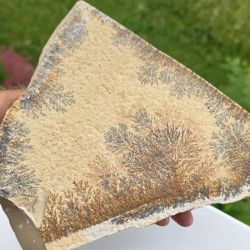 Dendriten aufm kalkstein 30cm - kalkstein,