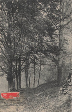 78 DAMPIERRE BOHRER - 67161