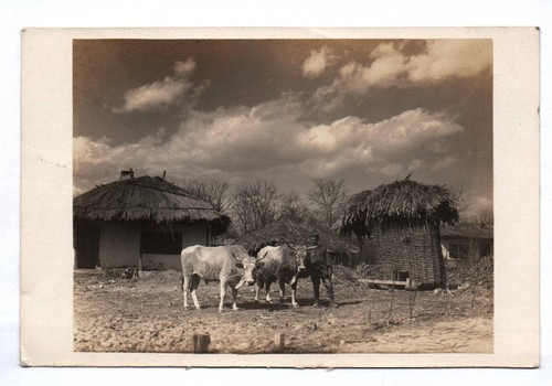 Foto rumänien soldat - foto,