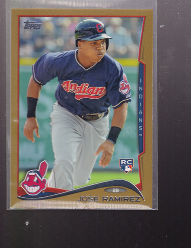B5365 2014 topps gold - topps, #424