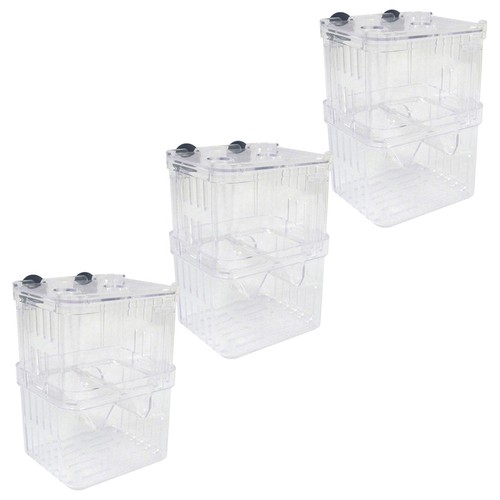 Pcs guppy zuchtbecken - guppy-zuchtbecken, fisch