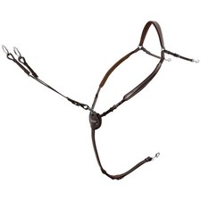 PASSIER Marcus Ehning