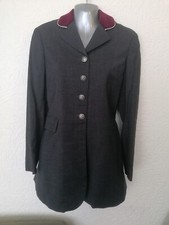 Graue Equiline Jährling