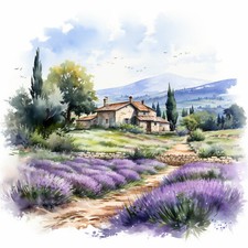 Wandbild Lavendel Provence