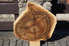 Baumscheibe Holzscheibe