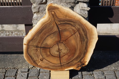Baumscheibe holzscheibe - baumscheibe,
