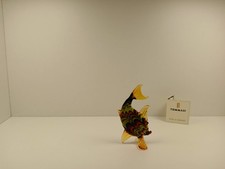 eine Schöne Fisch Fenice