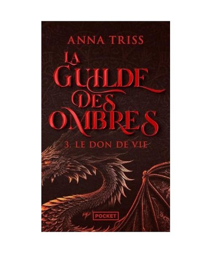 Guilde des ombres tome - la, 3