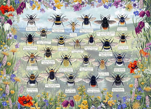 Puzzle kleine - puzzle, t.)